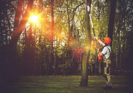 Tree Pruning